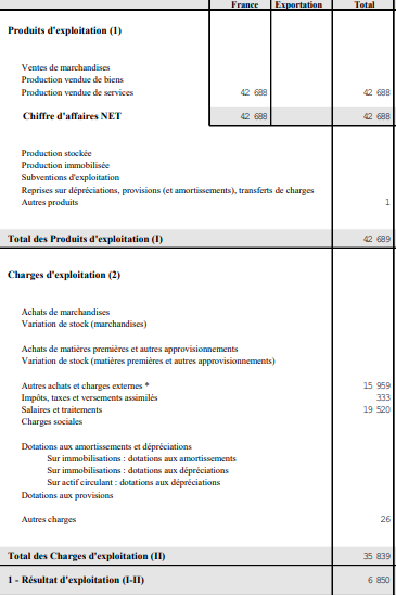 Compte de résultat prévisionnel